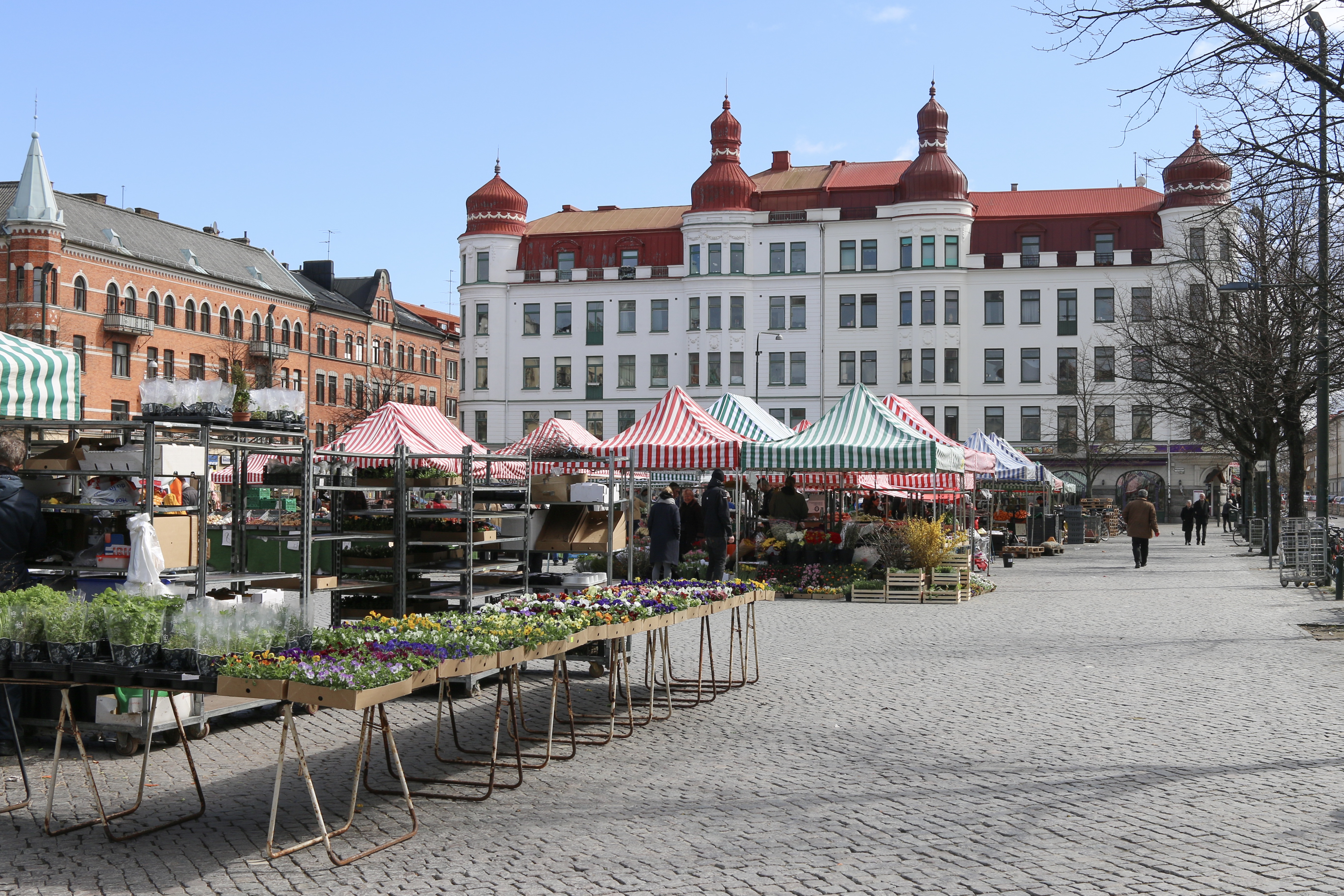 Möllevångstorget på dagen